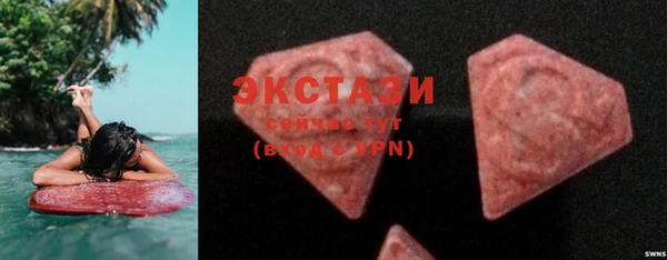 индика Гусиноозёрск