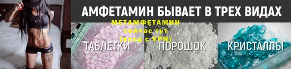 индика Гусиноозёрск