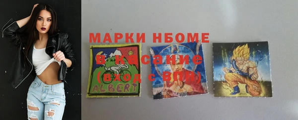 индика Гусиноозёрск