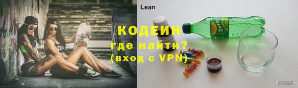 индика Гусиноозёрск