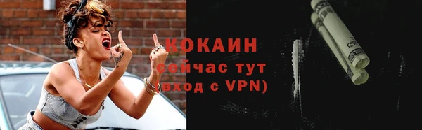 индика Гусиноозёрск