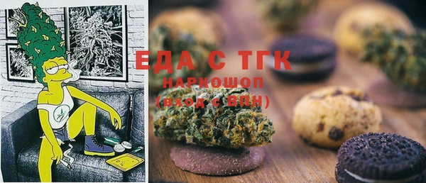 индика Гусиноозёрск