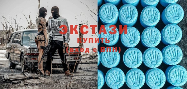 индика Гусиноозёрск