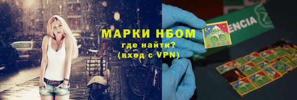 индика Гусиноозёрск