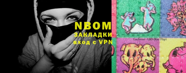 индика Гусиноозёрск