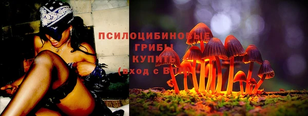 индика Гусиноозёрск
