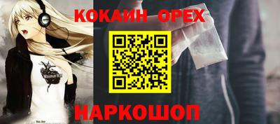 мдпв Кингисепп