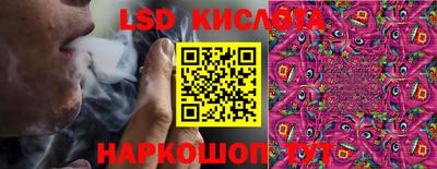 шишки Кимры