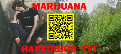шишки Кимры