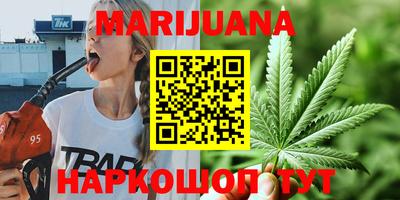 шишки Кимры