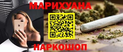 мдпв Кингисепп