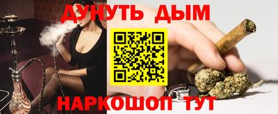 мдпв Кингисепп