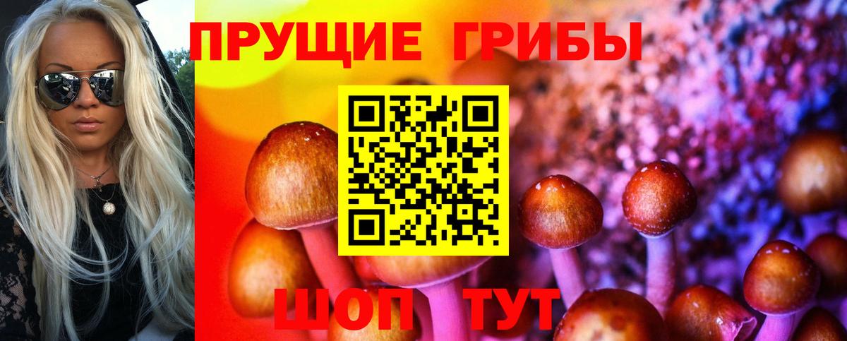 Псилоцибиновые грибы прущие грибы  Галлюциногенные грибы MAGIC MUSHROOMS  Москва  Вход с VPN 